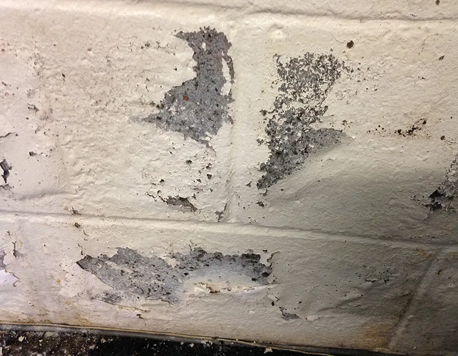 Moisture damage on brick wall showing seepage problems