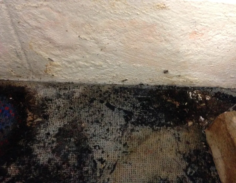 Mould damage on floor and wall from persistent moisture